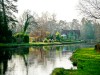 Beautiful fly fishing location on the River Test