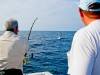 Huge sailfish leaping while fishing in the Maldives