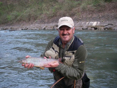Nice Grayling