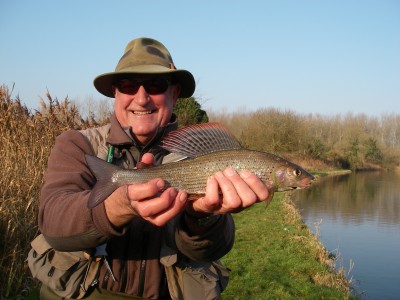 A cracking River Test Grayling