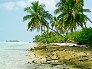 Beautiful view of the Bahamas